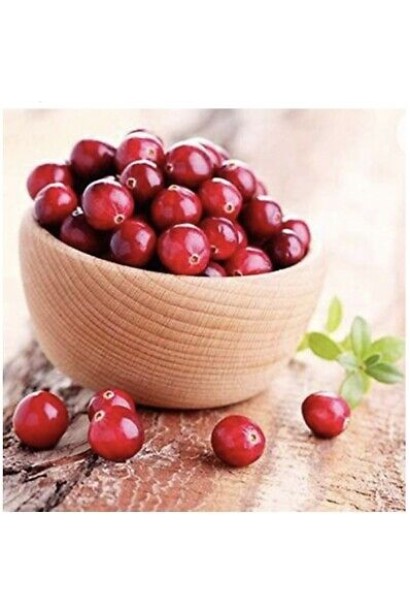 Клюква крупноплодная Эрли Блэк плоды